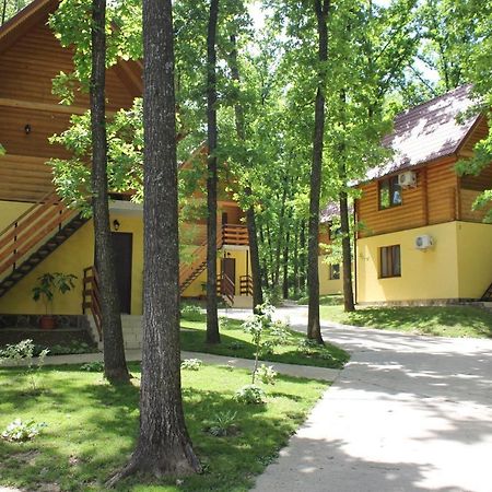 Hotel Вілія à Lomacineţi Extérieur photo