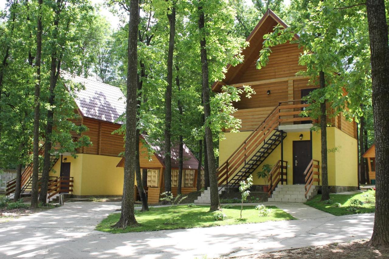Hotel Вілія à Lomacineţi Extérieur photo