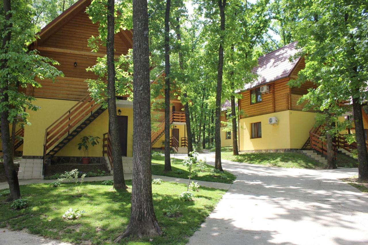 Hotel Вілія à Lomacineţi Extérieur photo
